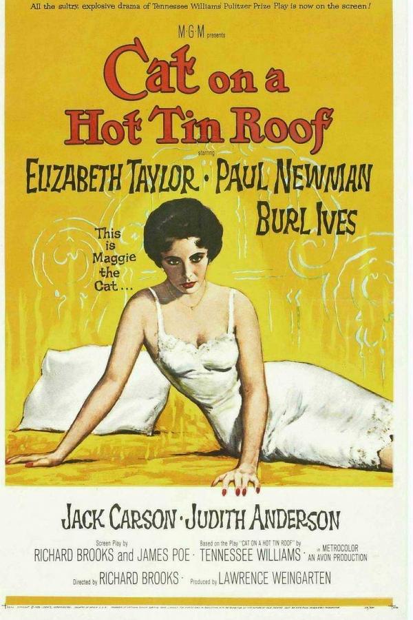 [朱门巧妇 Cat on a Hot Tin Roof 1958][奥斯卡奖七项提名 DIY简繁字幕@weidagui][32.11GB]-1.jpg