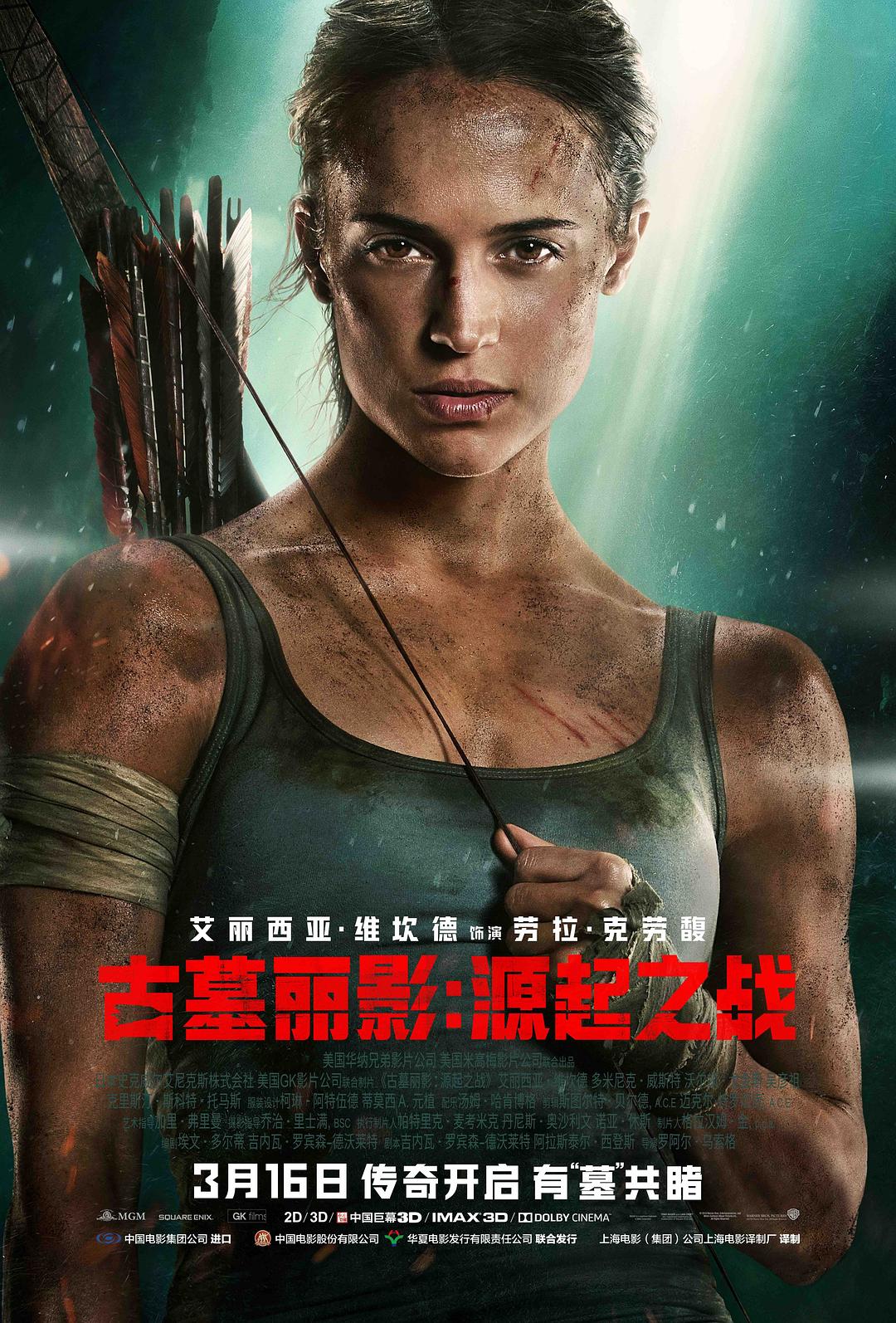 [古墓丽影：源起之战 Tomb Raider 2018][DIY 公映国语 简繁+双语特效字幕][9011@CHDBits-37008][33.31GB]-1.jpg