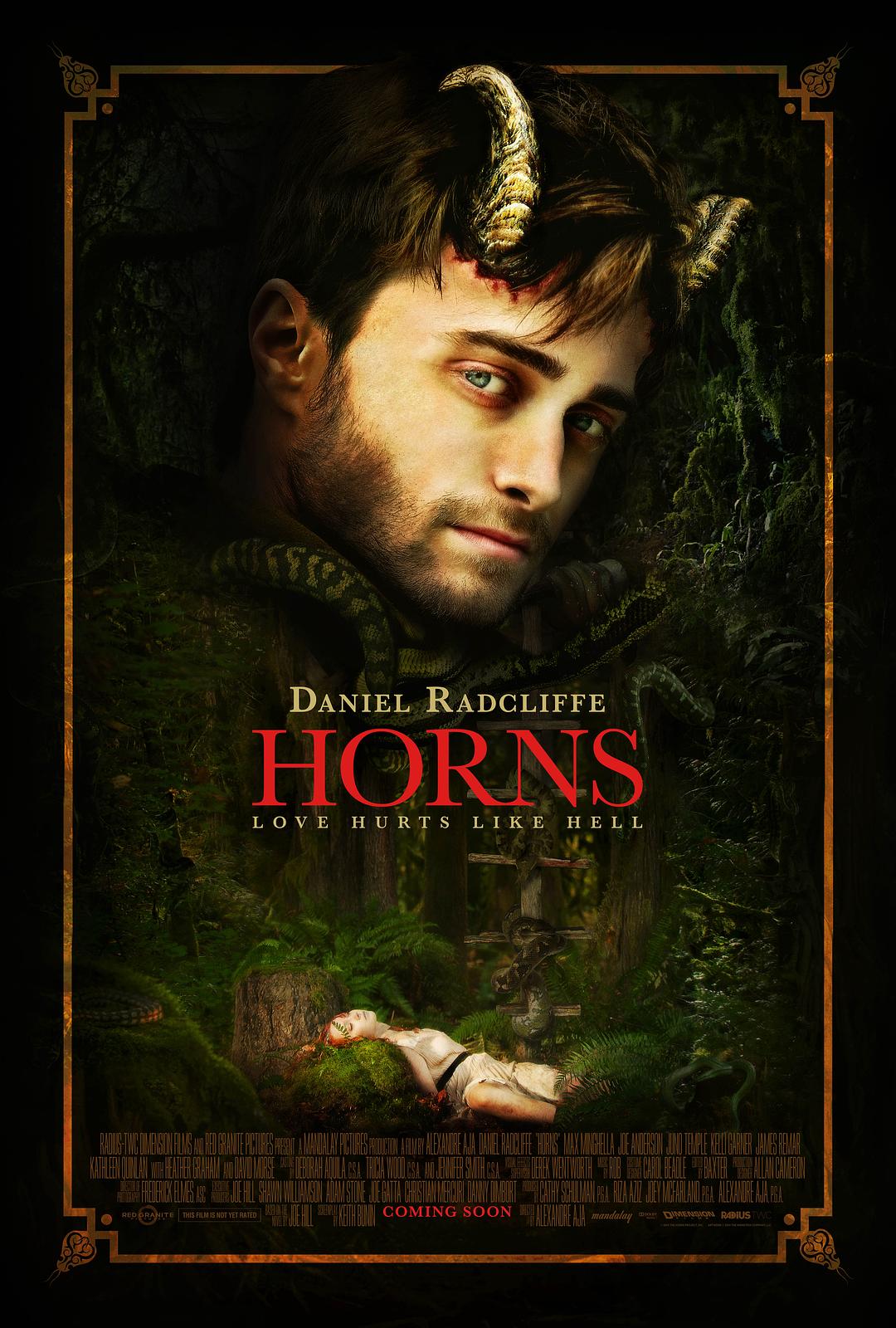 [复仇之角 Horns 2013][DIY简繁双语字幕][HDSky][32.33GB]-1.jpg