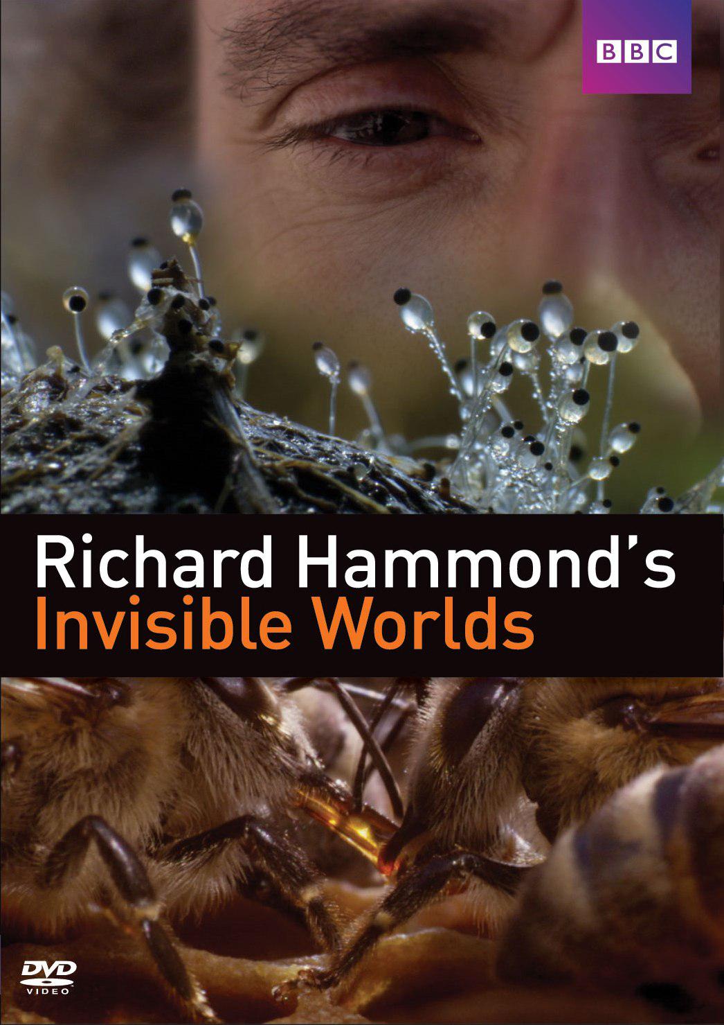 [BBC 理查德·哈蒙德：看不见的世界/隐形的世界] 台盘中字 Richard Hammond‘s Invisible Worlds 2010 TW Blu-ray 1080i AVC DTS HD MA 2.0 -TTG [38.41GB]-2.jpg