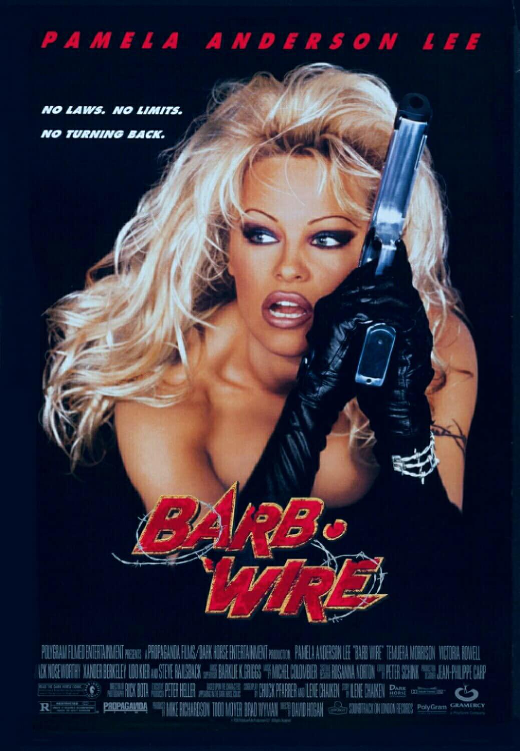 [越空追击 Barb Wire 1996][欧版 原盘 繁体中字][HDC][29.89GB]-1.jpg