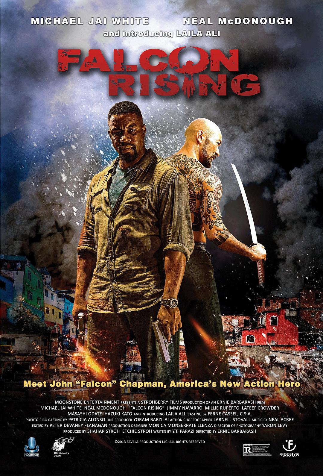 [猎鹰突起 Falcon Rising 2014][德版 DIY简繁双语字幕][HDSky][34.22GB]-1.jpg