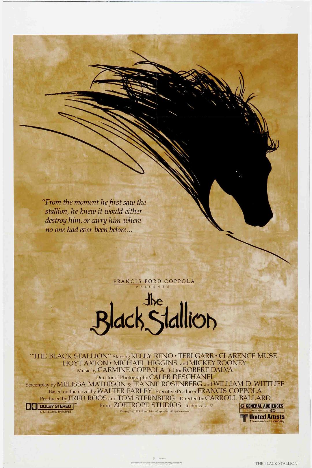 [黑神驹 The Black Stallion 1979][CC版 DIY简英双语字幕][miracle1934@HDSky][44.03GB]-1.jpg