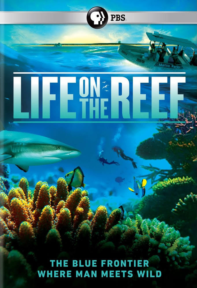 [繁盛大堡礁 Life on the Reef 2015][PBS无中字][Tik][40.49GB]-1.jpg