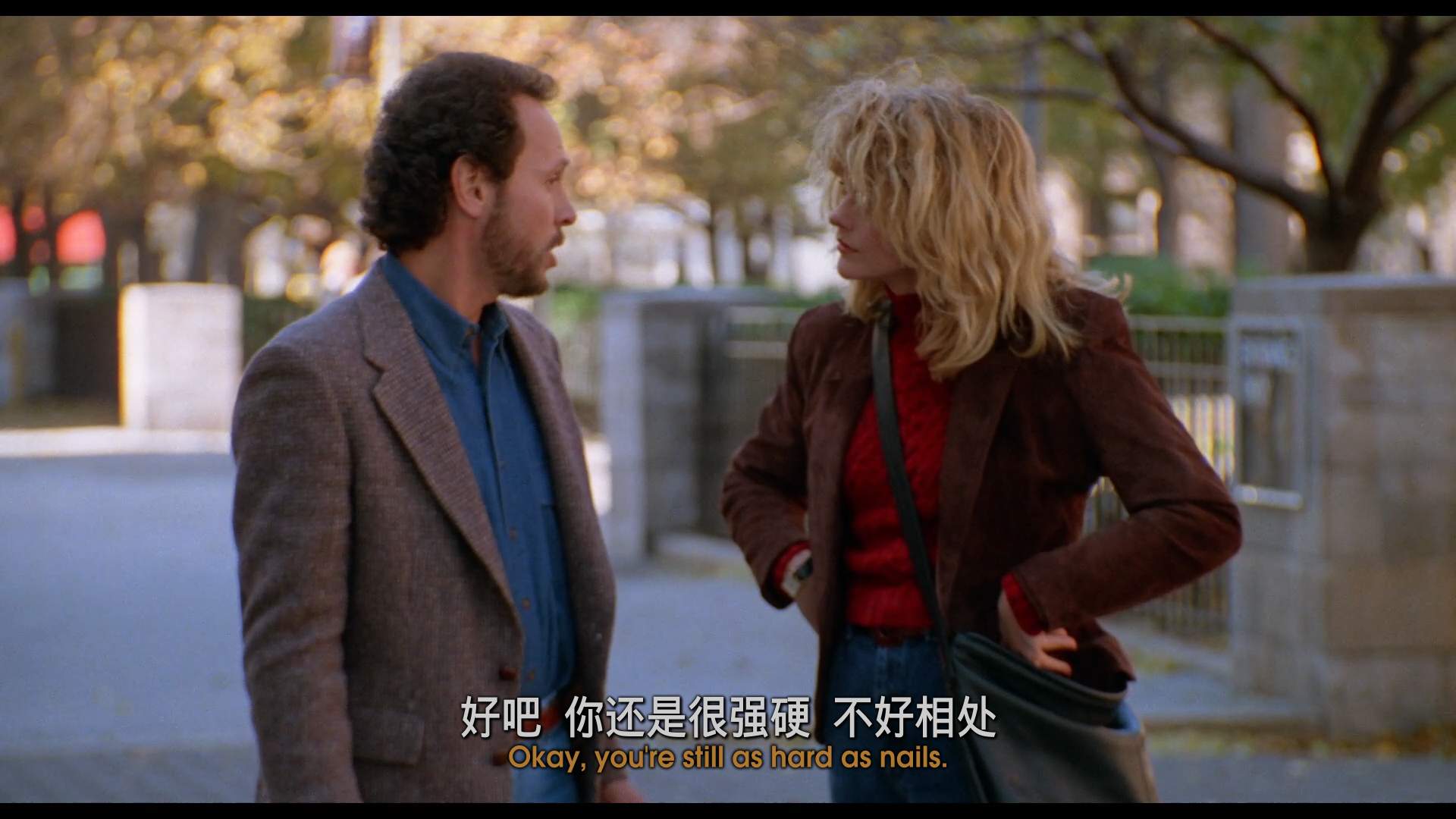 当哈利遇到莎莉 [30周年重制版原盘DIY简繁英特效四字幕] When Harry Met Sally 1989 1080p Remastered Blu-ray AVC DTS-HD MA 5 1-BHYS@OurBits[35.87GB]-13.png