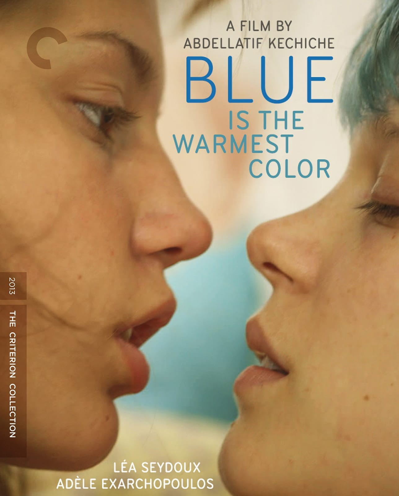 阿黛尔的生活 | DiY官译简繁字幕 | CC标准收藏版 Blue Is the Warmest Color 2013 1080p Criterion Collection Blu-ray AVC DTS-HD MA5.1-DiY@HDHome[43.97GB]-1.png