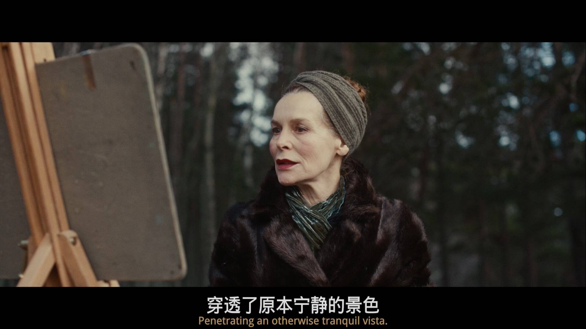 她将会 [原盘DIY简繁双语四字幕] She Will 2021 1080p Blu-ray AVC DTS-HD MA 5.1-Parker@CHDBits[22.48GB]-2.jpg