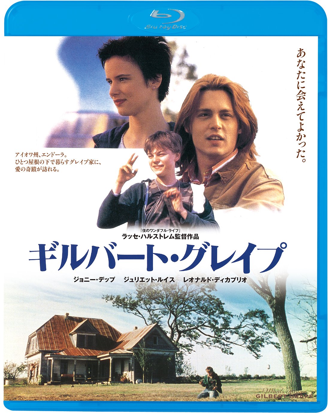 不一样的天空 [原盘DIY简体简英特效字幕] 第66届奥斯卡金像奖 What's Eating Gilbert Grape 1993 1080p JPN Blu-ray AVC DTS-HD MA 5 1-BHYS@OurBits[41.07GB]-1.jpg